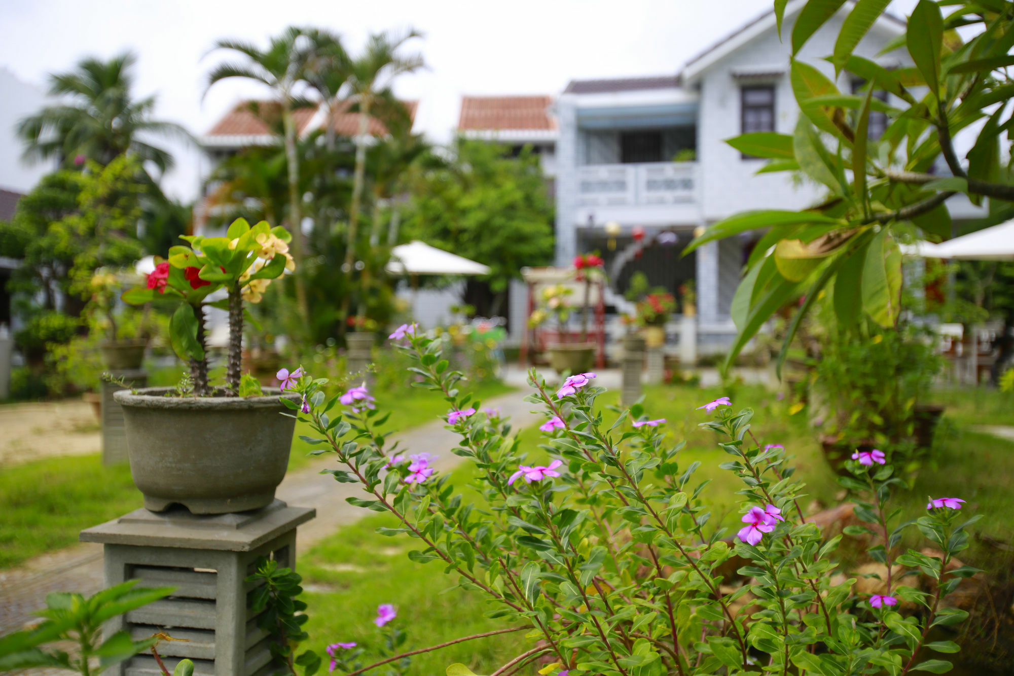 Mr Tho Garden Villas Hoi An Zewnętrze zdjęcie